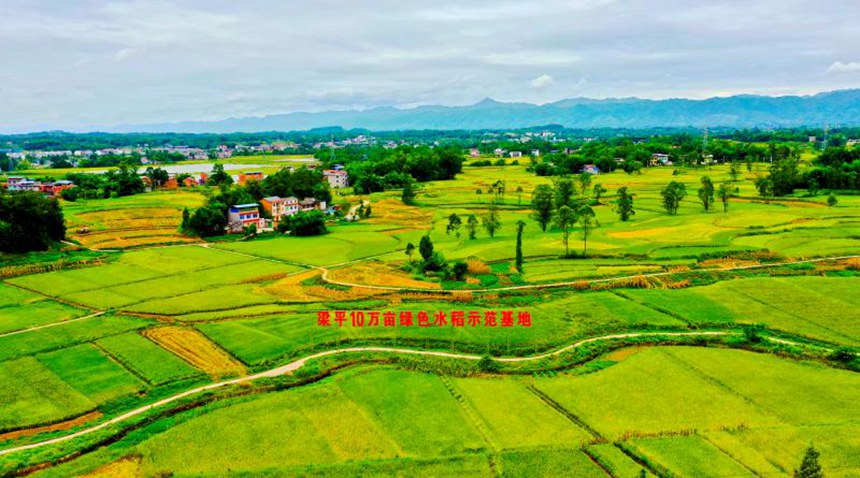 ������ƽ��@�L�����܂��z