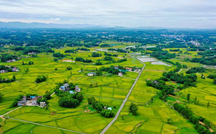 ������ƽ��@�L(f��ng)�����܂��z