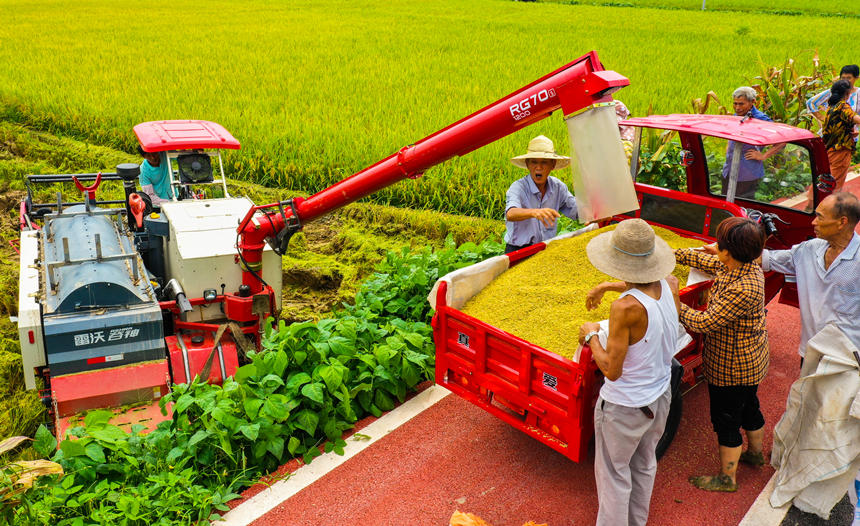 �|���hɳƺ�(zh��n)��״�������r(n��ng)�C(j��)�ո�ˮ�������L�Ɣz