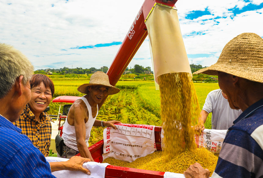 �|���hɳƺ�(zh��n)��״�������r(n��ng)�C(j��)�ո�ˮ�������L(zh��ng)�Ɣz