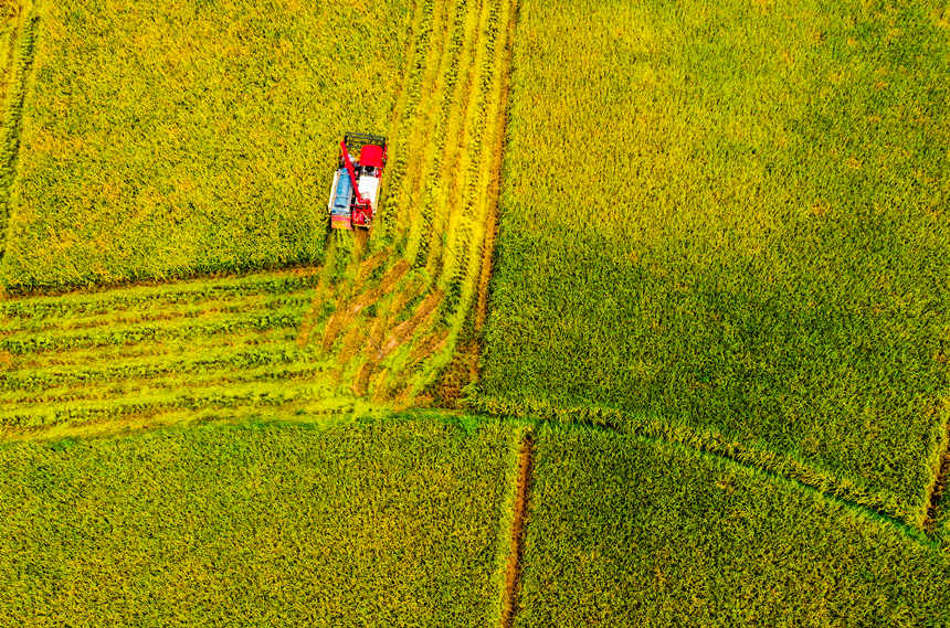 �ո�C�ډ|���hɳƺ�(zh��n)��״����g�ո�ˮ�������L�Ɣz