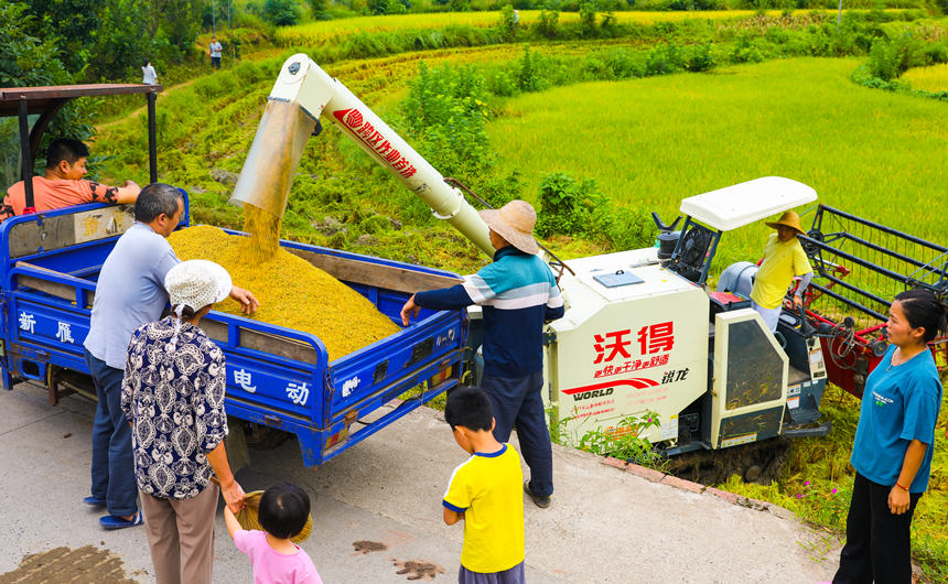 �ո�C(j��)�ډ|���h�L���(zh��n)�r(n��ng)����ո�ˮ�������L�Ɣz