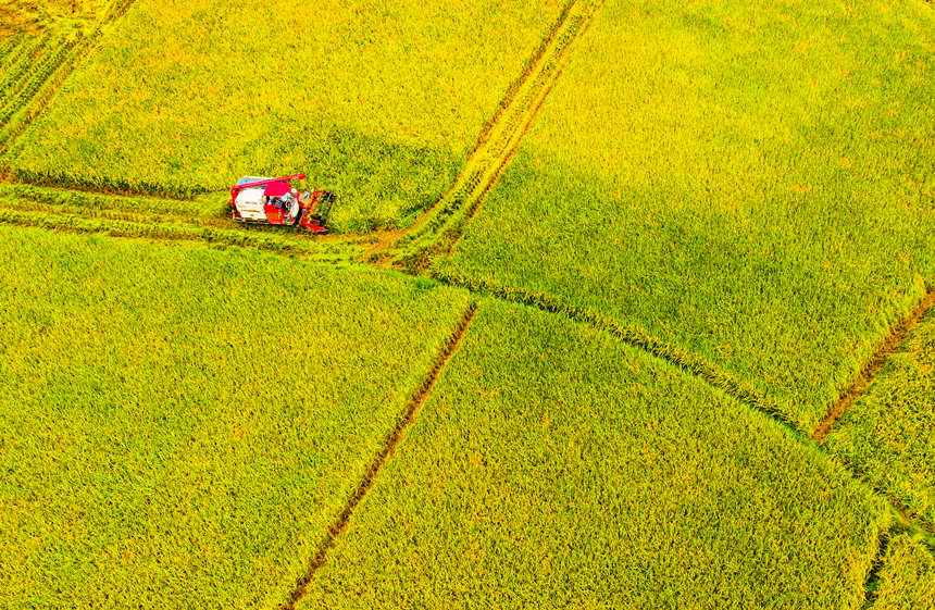 �ո�C(j��)�ډ|���hɳƺ�(zh��n)��״����g�ո�ˮ�������L�Ɣz