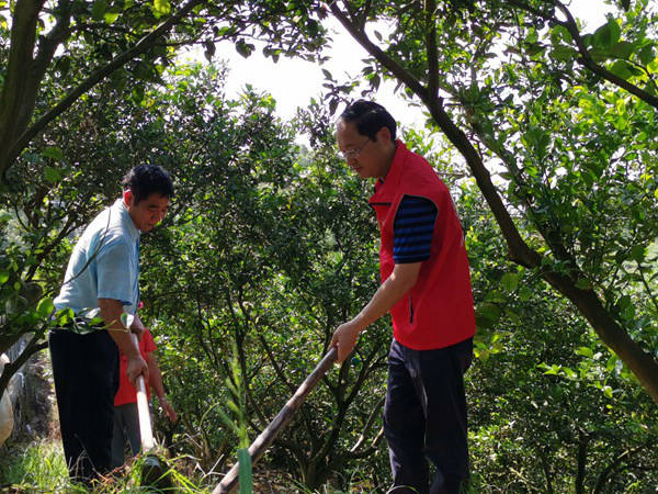 ���򣺿Ƽ�����(w��)����x ���������k��(sh��)��