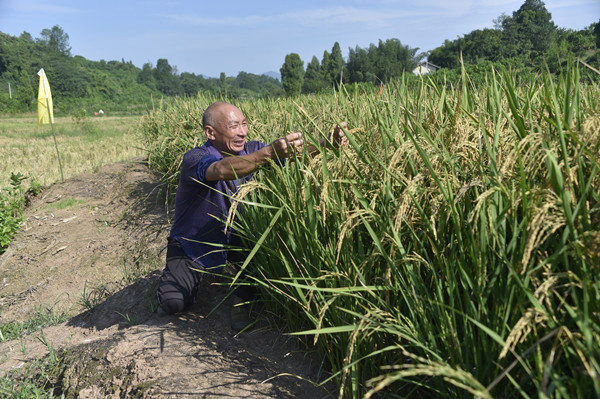 ���꣺���طN���� ʡ��ʡ�������