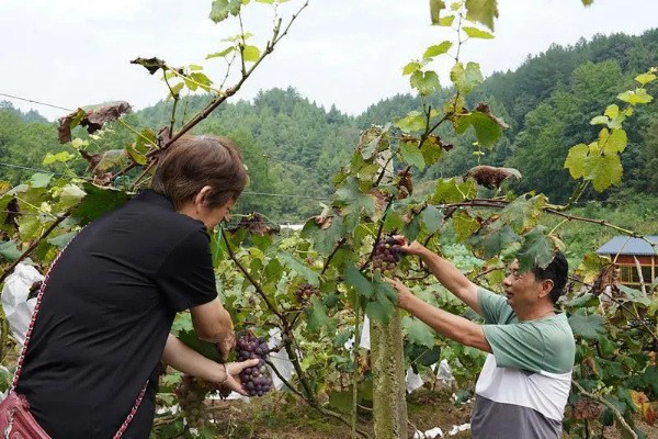 �S�������(zh��n)���d�a(ch��n)�I(y��) ������ �����d