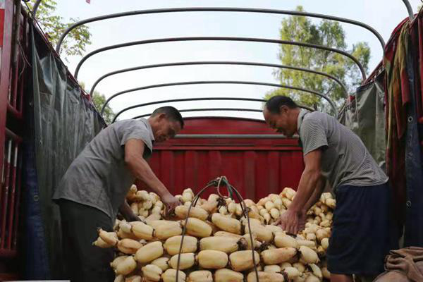 �~����ɏź�a(ch��n)�I(y��)�B�ɾ� �l(xi��ng)�帻��һ��Ƭ��