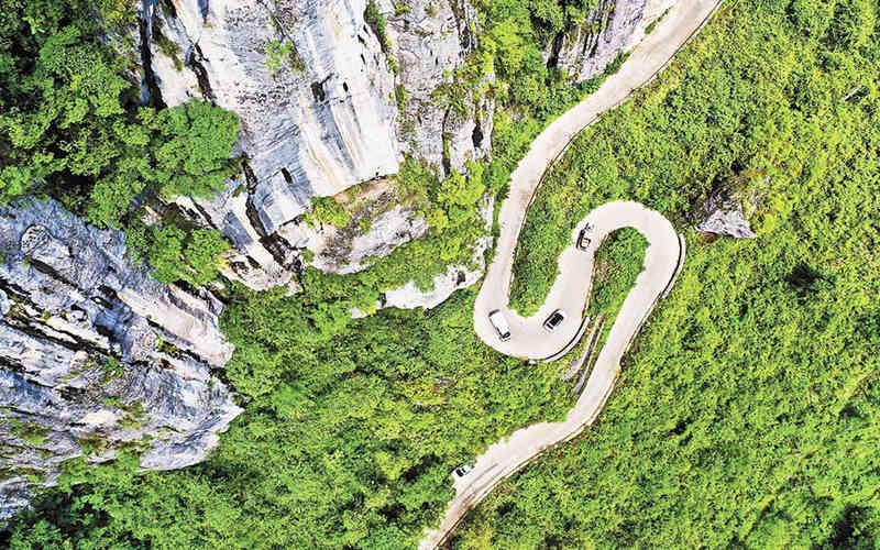 ����ڹ�·�������l(xi��ng)�����d