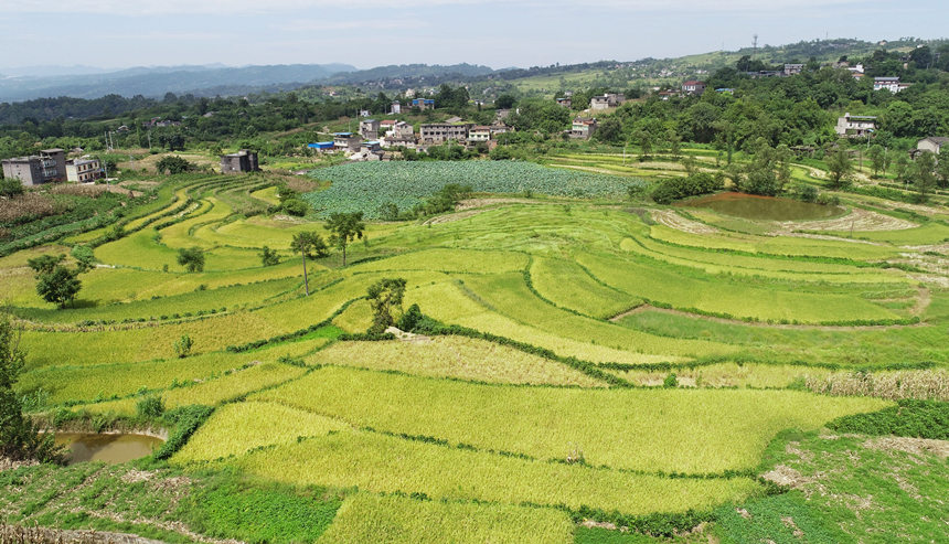 һ���S�յ�ϲ�˾������S�Ӕz