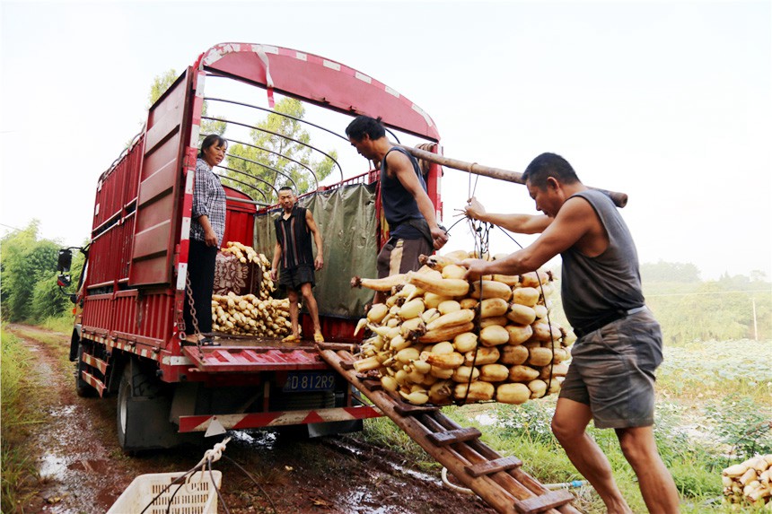 ź�r(n��ng)���ڰ��\ɏź���~���^(q��)ί���������D