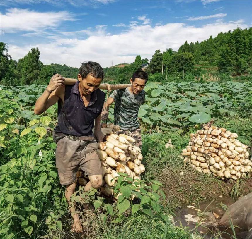 ź�r(n��ng)���ڰ��\ɏź���~���^(q��)ί���������D