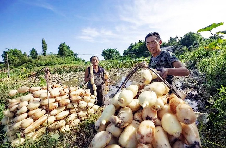 ź�r(n��ng)������ź���~���^(q��)ί���������D