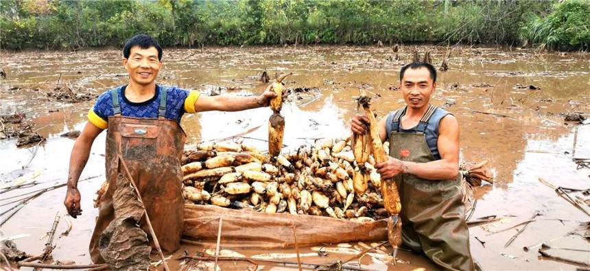 ź�r(n��ng)������ź���~���^(q��)ί���������D