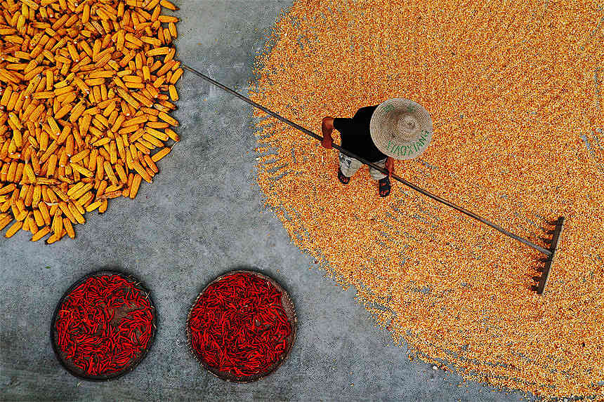 �ؑc��ǭ���^(q��)��Ϫ�(zh��n)�ٵ���^(q��)�������������׵��r(n��ng)�����������z 