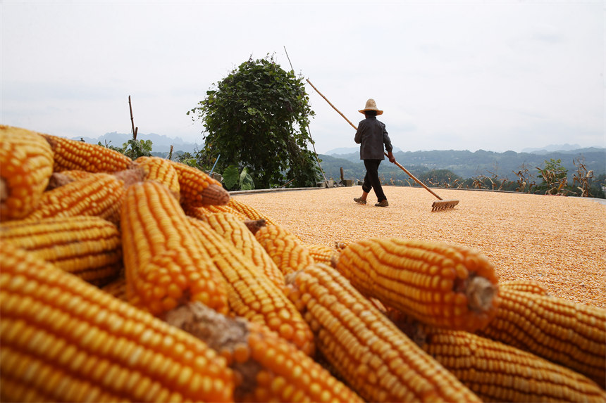 �ؑc��ǭ���^(q��)��Ϫ�(zh��n)�ٵ���^(q��)�������������׵��r(n��ng)��������z 