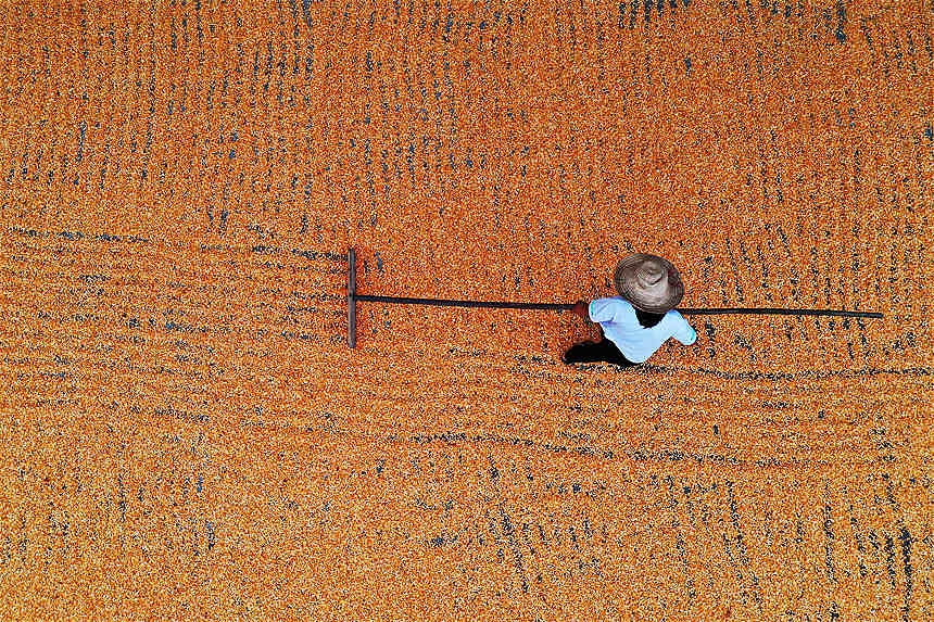 �ؑc��ǭ���^(q��)��Ϫ�(zh��n)�ٵ���^(q��)�������������׵��r(n��ng)�����������z 