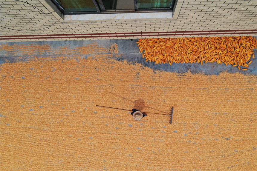 �ؑc��ǭ���^(q��)��Ϫ�(zh��n)�ٵ���^(q��)�������������׵��r(n��ng)�����������z