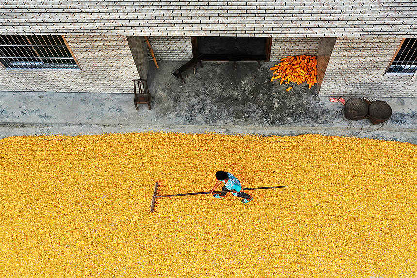 �ؑc��ǭ���^(q��)��Ϫ�(zh��n)�ٵ���^(q��)�������������׵��r(n��ng)�����������z 