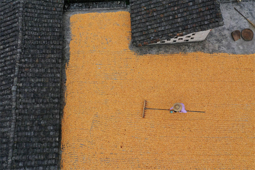 ���񂃓�ץ�����⣬�����ԼҘ�피���߅Ժ������������z