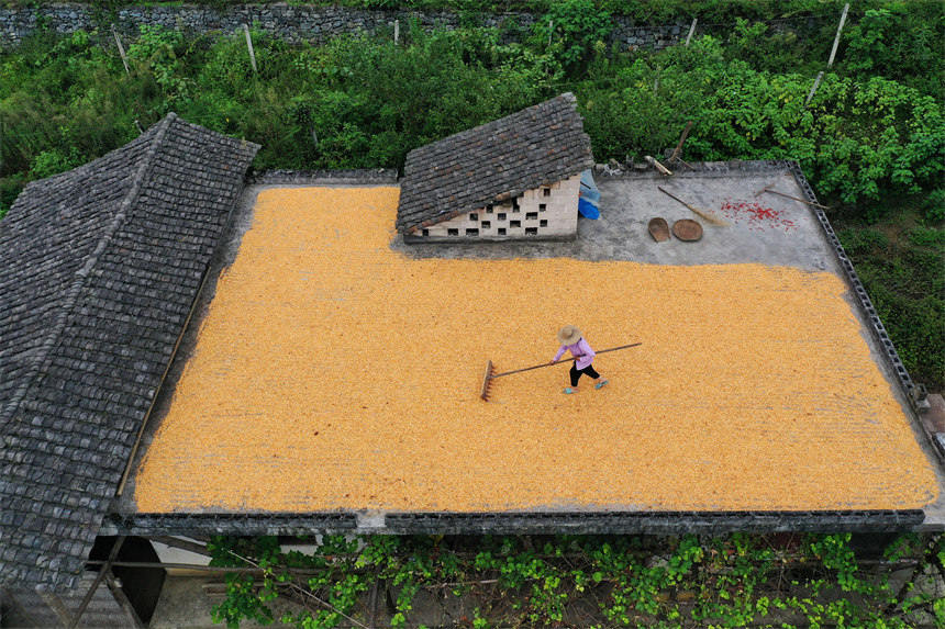 ���񂃓�ץ�������������ԼҘ�피���߅Ժ������������z 