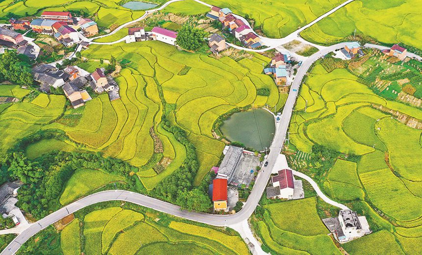 �����l(xi��ng)��·