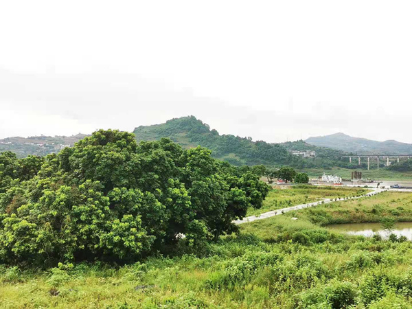 �ؑc���꣺ˮ���a�I(y��)�Ƅ��l(xi��ng)�����d��l(f��)չ