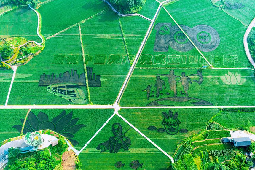 �ؑc������ʵ������Ĳ��z