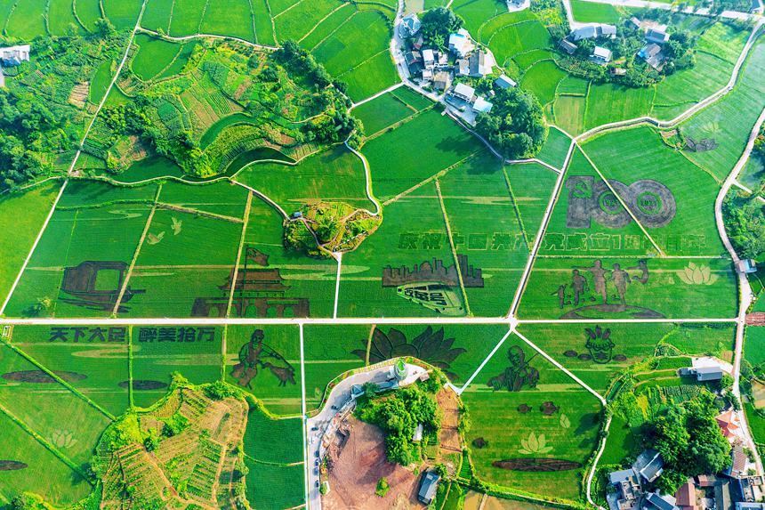 �ؑc������ʵ���Ĳ��z