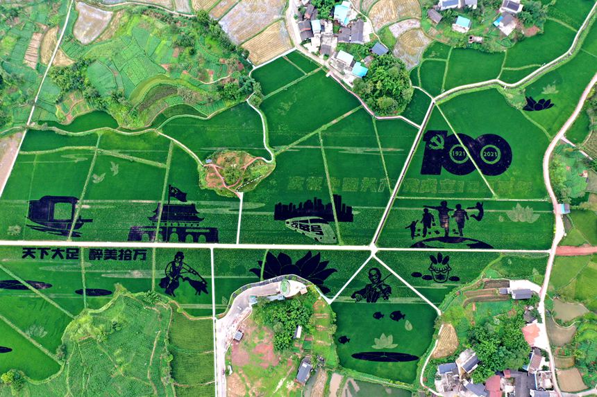 �ؑc������ʵ��������c���z