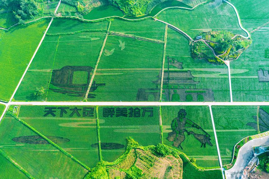 �ؑc������ʵ������Ĳ��z