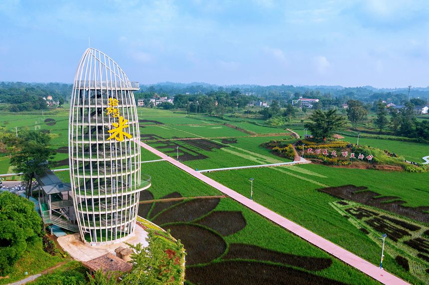 �ؑc������ʵ������Ĳ��z