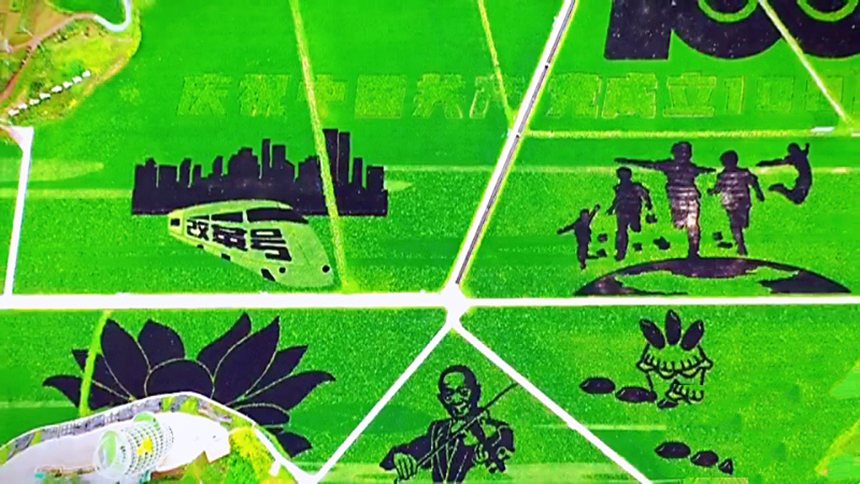 �ؑc������ʵ�����c���z