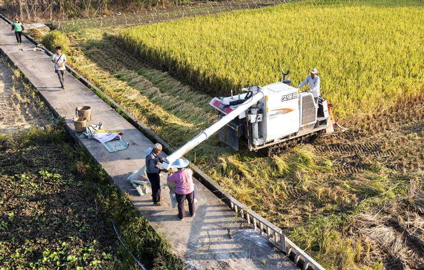 �����ÙC(j��)���ո�Ⱥ��b������껕F�z