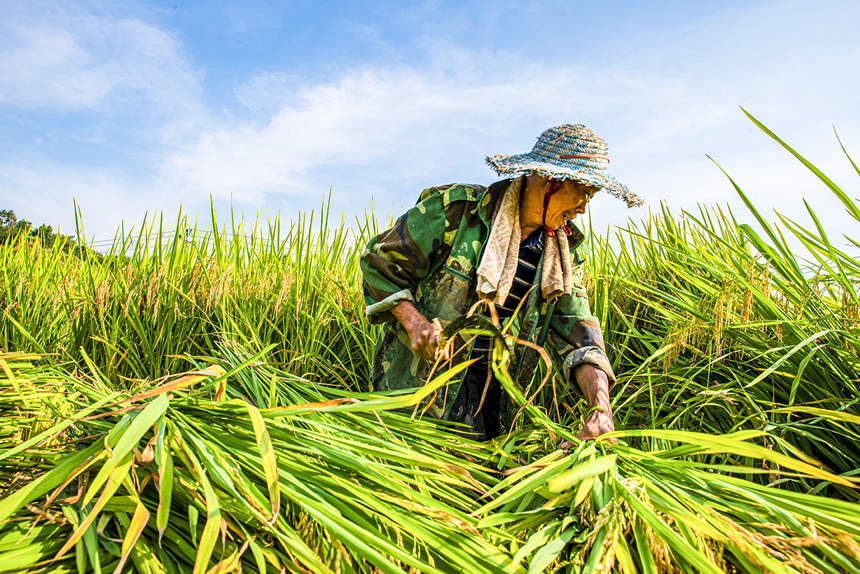 �ϴ��^(q��)�d¡�(zh��n)�𻨴��ˮ����Ʒ�Nչʾʾ������������ո�ˮ�����܊�z