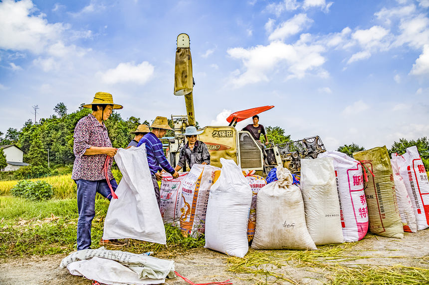 �ϴ��^(q��)ľ���(zh��n)�h���δ�����ո�ĵ����b�����푪(y��ng)�Ҕz