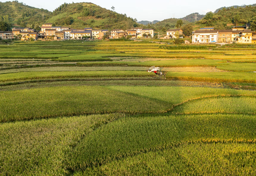 �r(n��ng)��ץס������C��ˮ������껕F�z