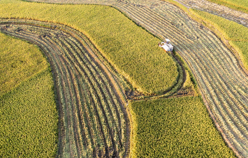 �r(n��ng)��ץס������C(j��)��ˮ������껕F�z