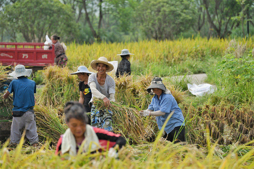 �������õ��ȣ�Ц�_�ˑ�������z