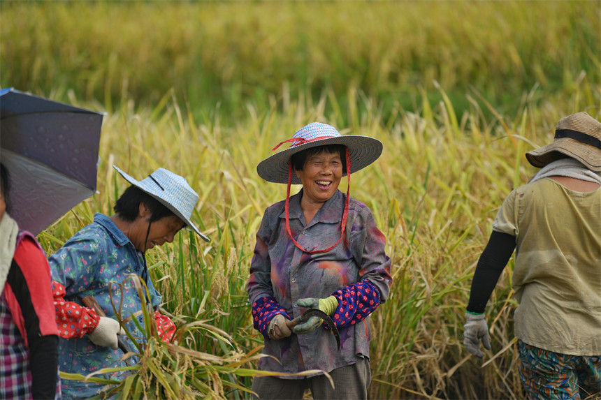 ���g�������S�յ�ϲ��������z