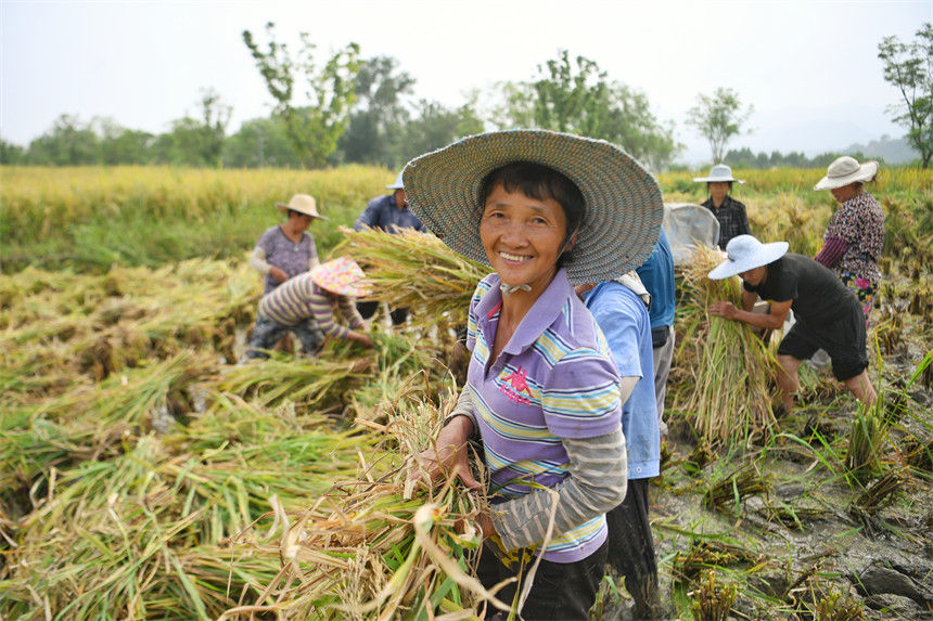 �������õ�����Ц�_�ˑ�������z