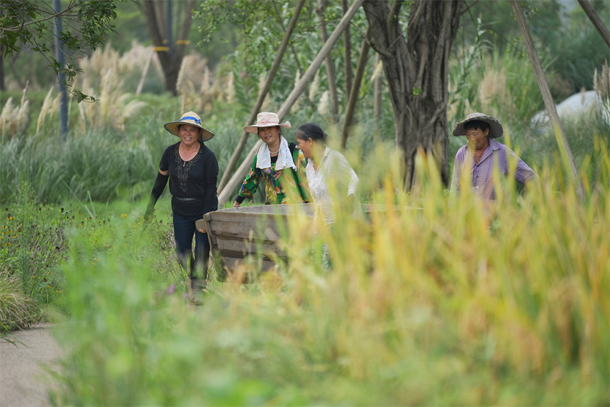 ���g���^��һ���S�շ�æ����������z