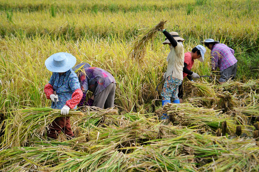 ���g���^��һ���S�շ�æ����������z