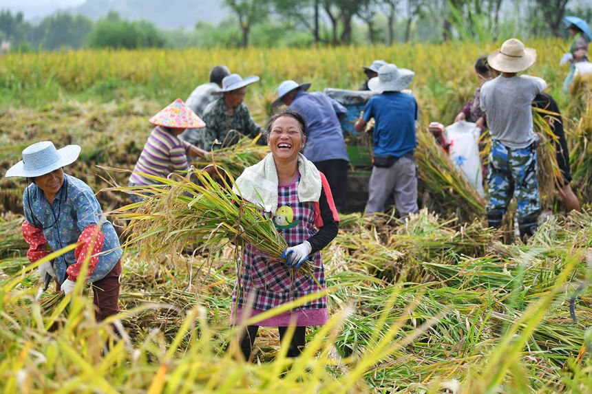 �������õ��ȣ�Ц�_�ˑ�������z