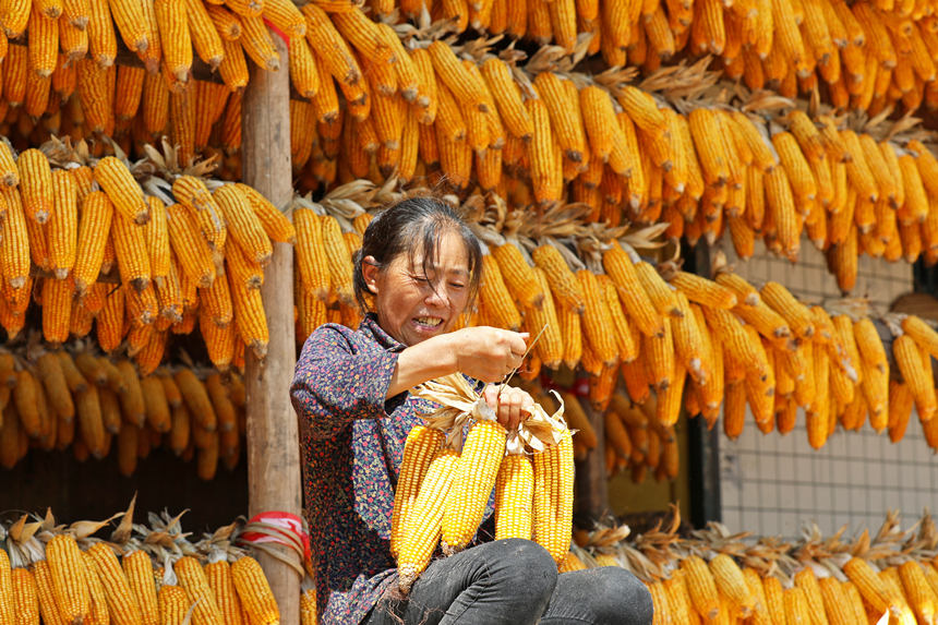 ���������������M���������w�z