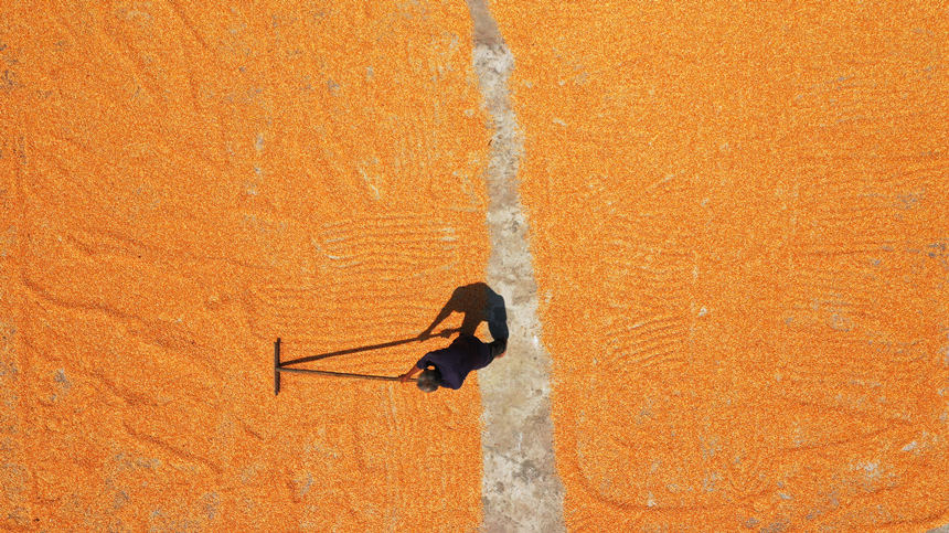 ���������������������������Ψ�z