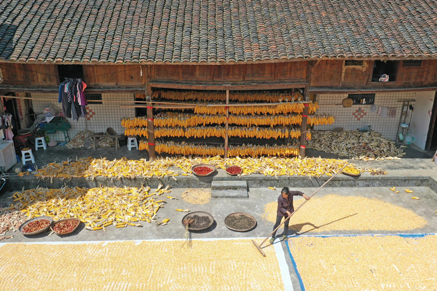 ������������������������S���ȼZʳ�������w�z