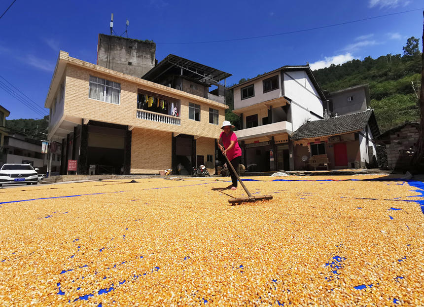 ��ˮ�h�Ƹ��l(xi��ng)�r(n��ng)�V�����������������������������Ψ�z