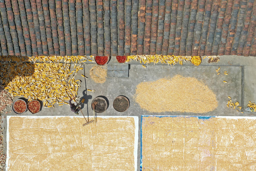 ���կ��СԺ�ĵ�������S�յ�ϲ�����w�z