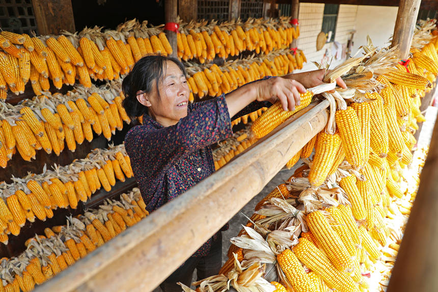 ������������������������w�z