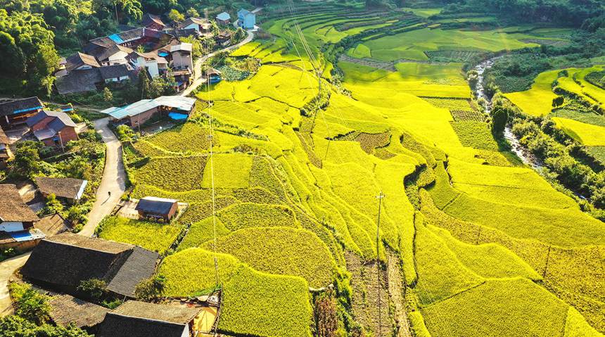 �����S�����L(f��ng)���箋���ҿh���������D